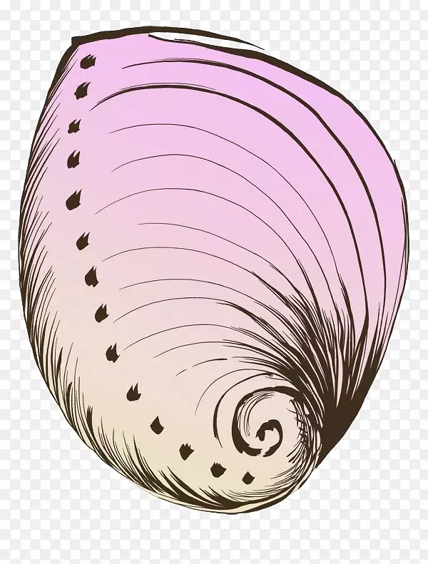 ˮ�ʻ�.ˮ�ʻ����ݲ���-������