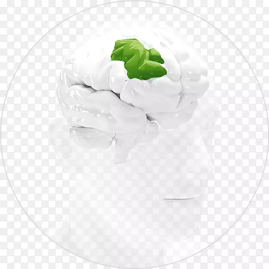 �;�˪-������