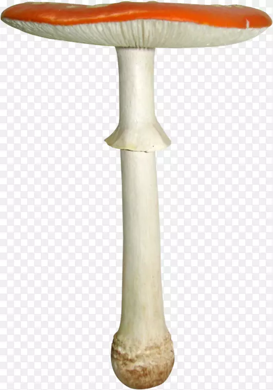 ˮ�������߲�-Ģ��-������