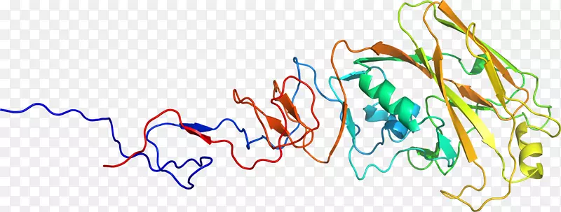 �����ߵ����-������