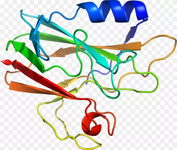 �ߵ������������-������