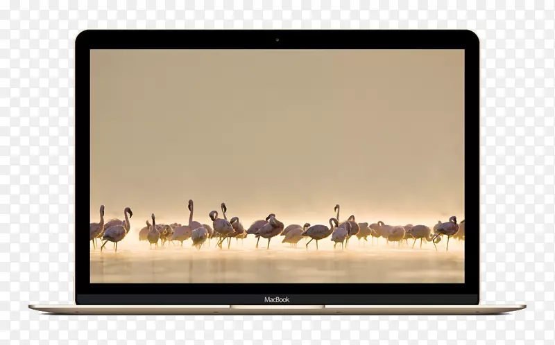 MacBookpro MacBook��AIR�ʼǱ����ԣ�Macintosh-ƻ���ʼǱ����ԣ������Ʒ��-������