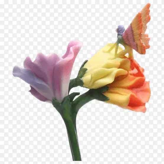 �л�ֲ�ﾥ���㶹�ɻ�-������