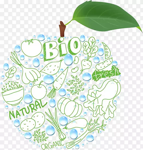 ƻ���¸���˹-����ƻ��-������