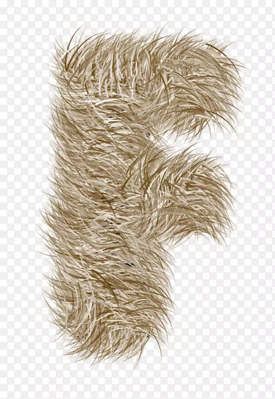 ëƤ-������