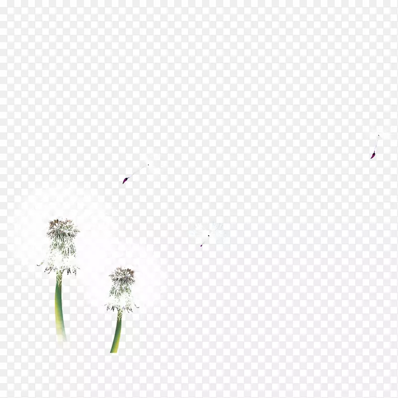 ���ѹ�Ӣͼ��-�ѹ�ӢƯ������-������