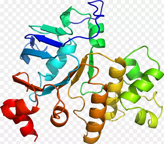 ���߶��������-��-������