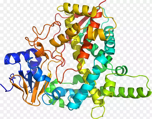 �������߼�������-������