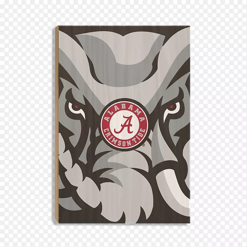 ����������ѧ�쳱����󳱶��ϻ���ѧԺ-������