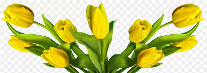 �л���������ӻ���������-������