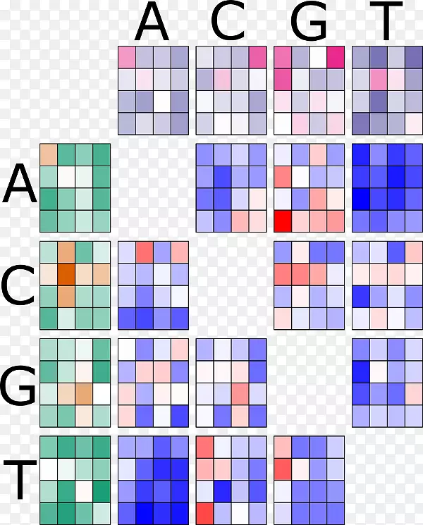 ���ɻ��ݴ�ѧҽ�Ʒ�������-������