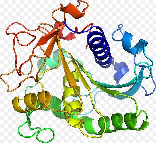 �����鱦�����߼�������-������