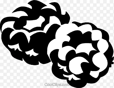 ��ɫ������-������