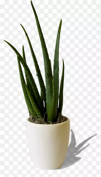 NET�����ƿƲ���-����-������