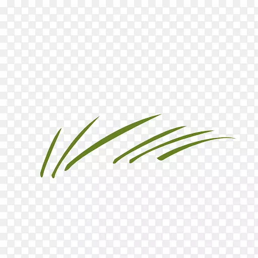 Ҷ���ֲ�ﾥ����Ҷ-������