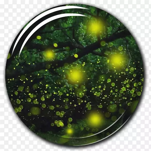 ��׿�����ֽӦ���̵��ֽ-android-������