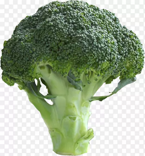 ���������߲ˣ�ˮ�������ѣ����-������-������