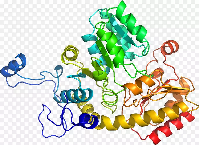 �ߵ������������-������