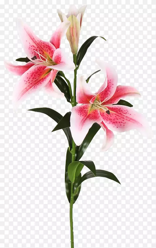 ֲ�ﾥ������ڰٺ��л��ٺϻ����Ƕ���-��-������