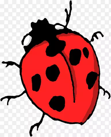 ư�������-����-������