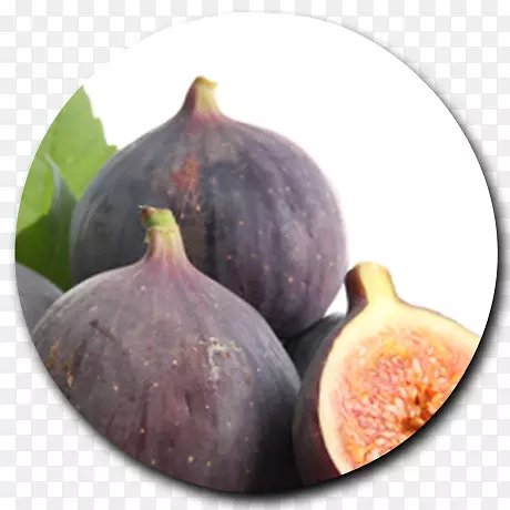 ��ͨ�޻���Ƭ-������