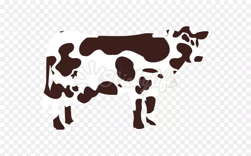 צ�������ֽ���Լ���������-������