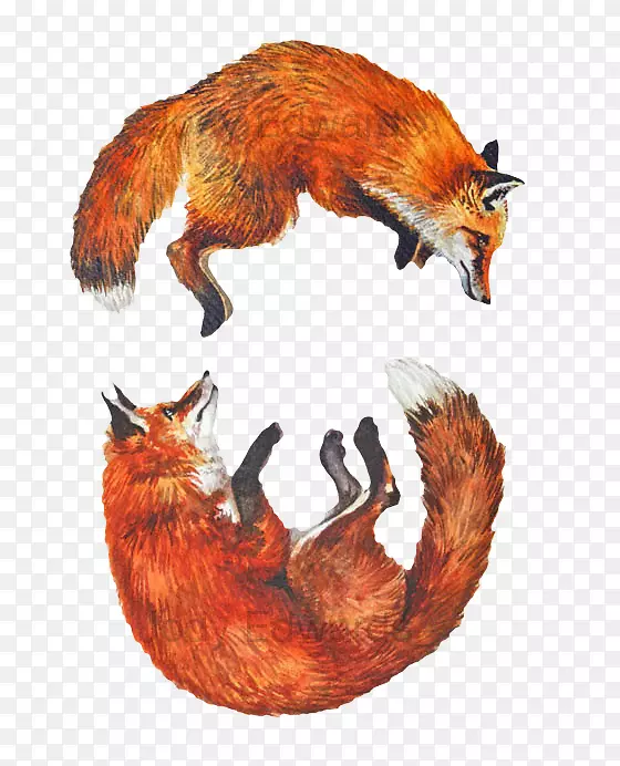 ���ˮ�ʻ������滭-������