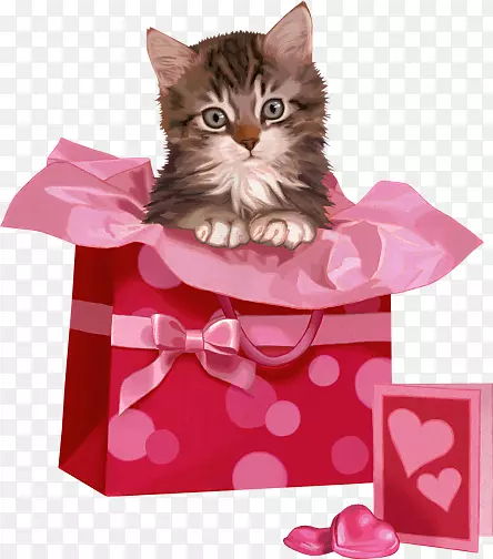 ����ӵ��һ���е����ӵ�����-����-������