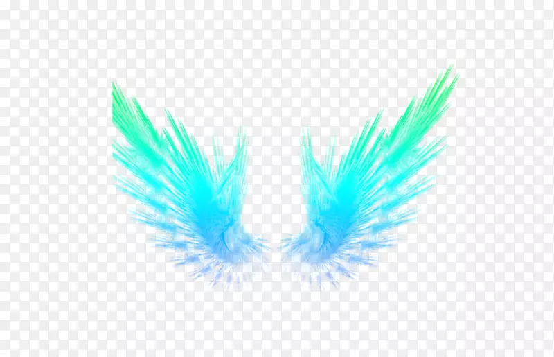 ����ֽ-��ë��-������