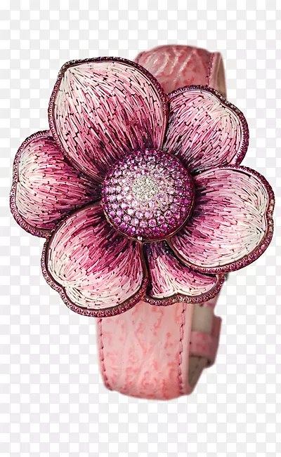 ��������л����軨�����-������