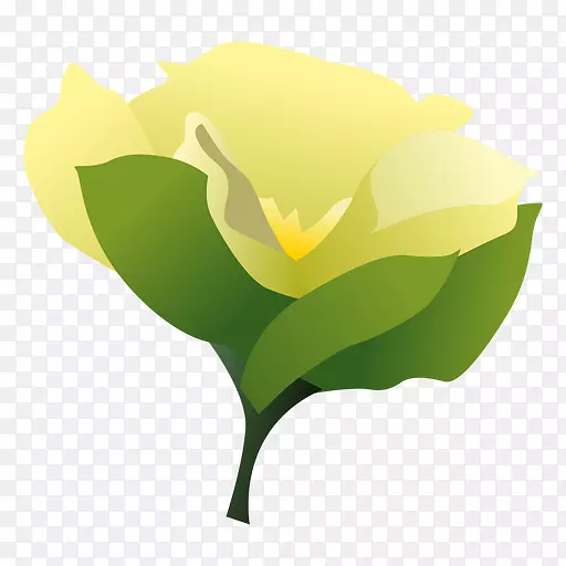 ���������ֽ���ӻ�-����-������