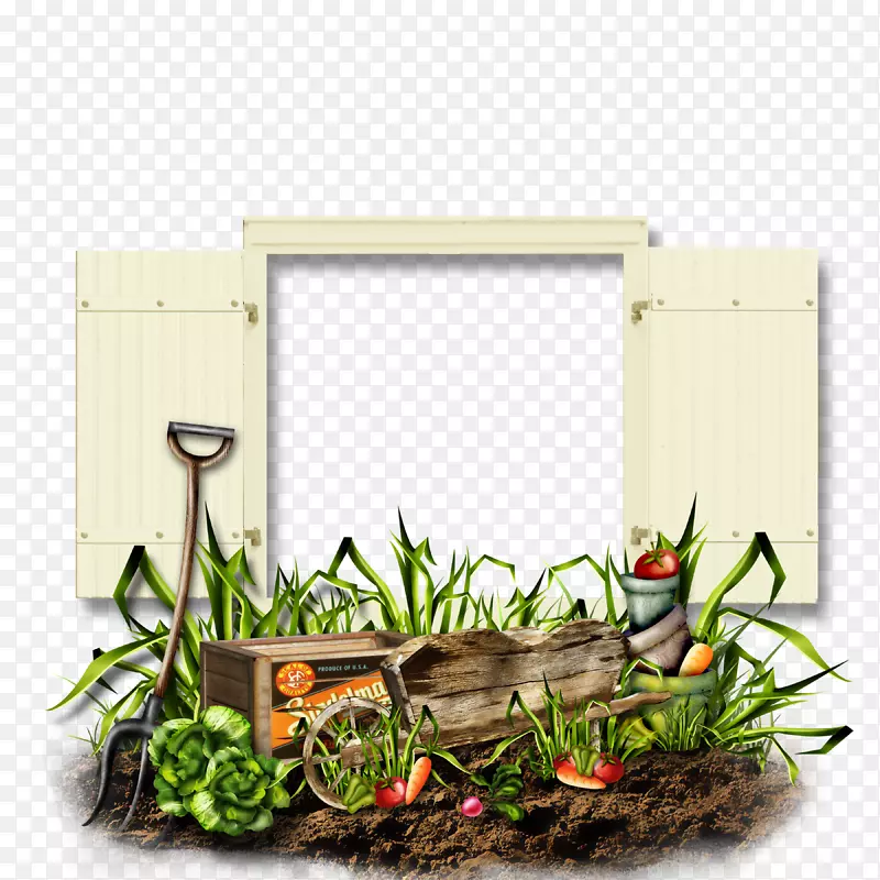 ��Ӱ-������