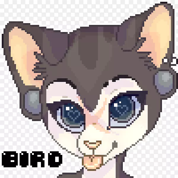 ����è���Ӽ�����è-������