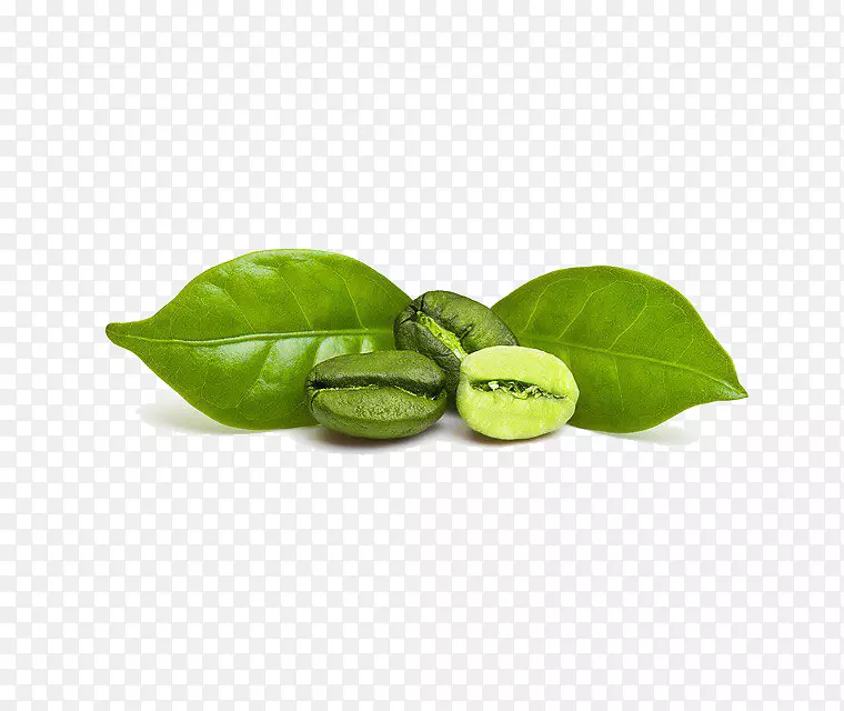 �̿�����ȡ�￧�ȶ�Ũ������-������