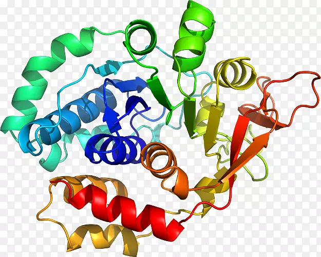 ���������л����߼�������-������