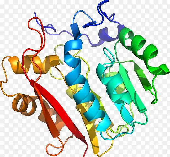 �����鱦���л����������-������