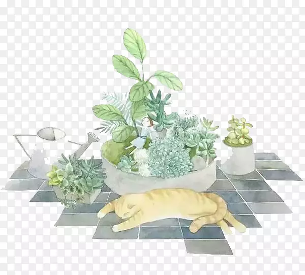 ˮ�ʻ�ˮ�ʻ�����΢��ˮ�ʻ�ֲ��-������