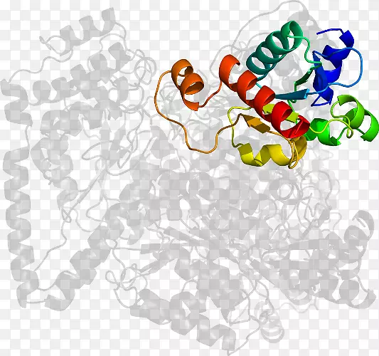 ������Ϊ-ʳ����������-��-������