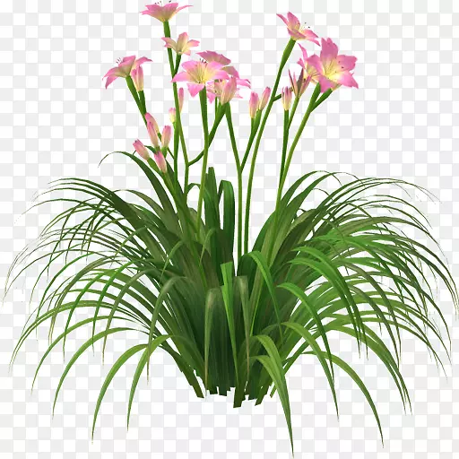 �л���ľֲ��-����-������