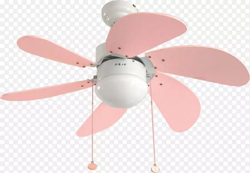 ���ȵư�������������-������