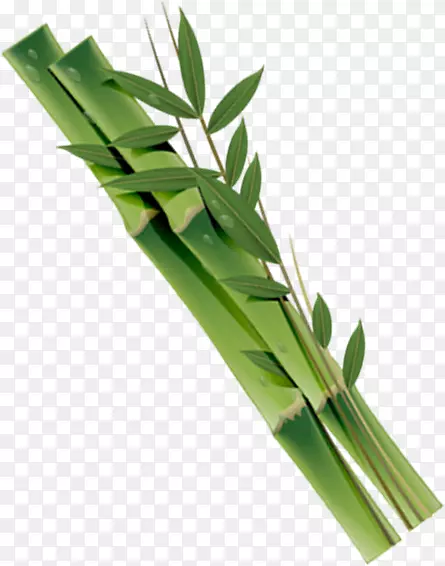 ����Ⱦɫ����-������