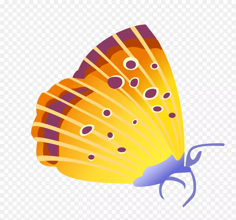 ��������cdr-��-������