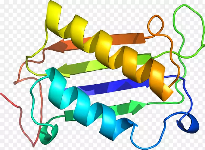 �ߵ������-��-������