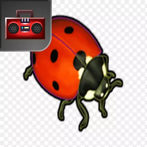 ����-����-������