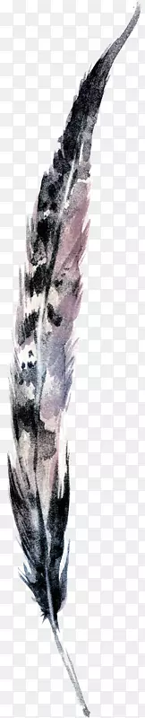 ������ëˮ�ʻ���ȸ��ëͼƬ����-������