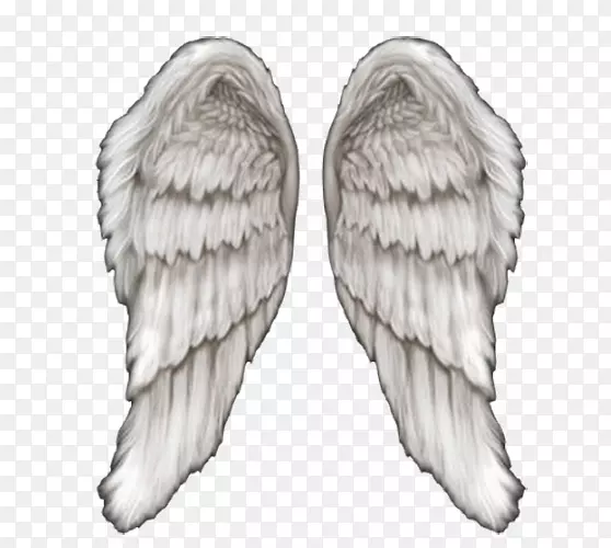 �滭������-��ʹ���-������