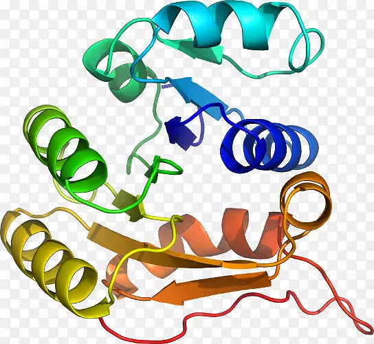 ���������л����߼�������-������