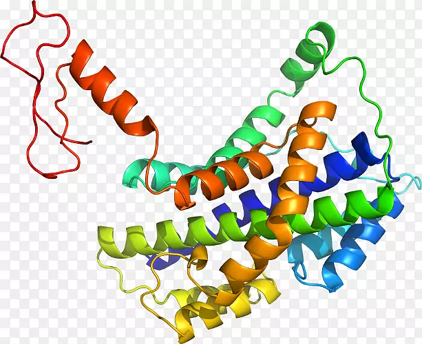 ���������л����߼�������-������