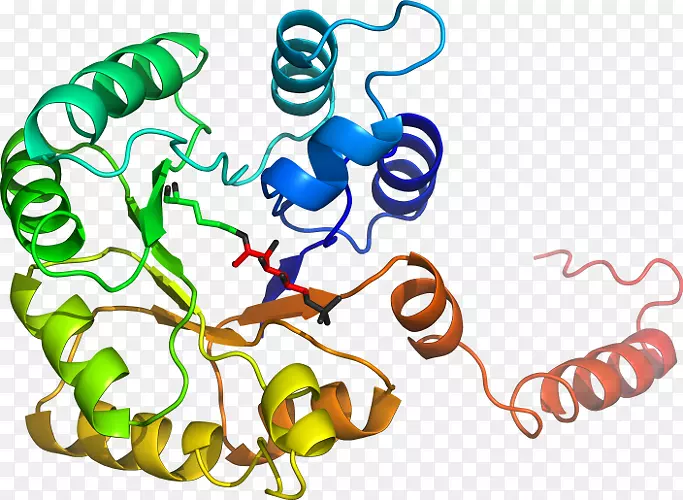 �����߶����������-������