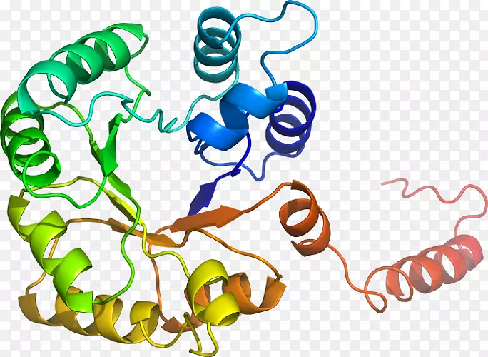 �޼�׵�����߶����������-������